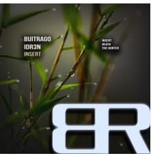 Buitrago, IDR3N - Insert (Original Mix)