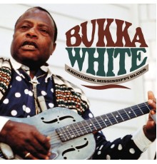 Bukka White - Aberdeen, Mississippi Blues (Live in Germany)