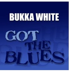 Bukka White - Got the Blues