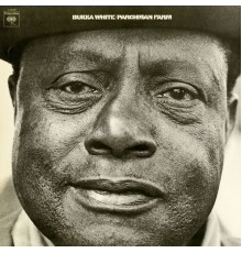 Bukka White - Parchman Farm