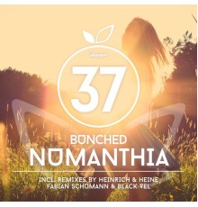 Bunched - Numanthia