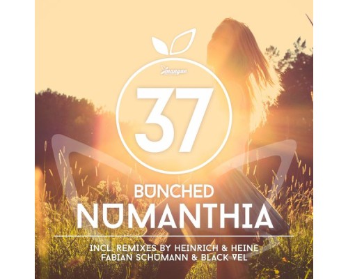 Bunched - Numanthia