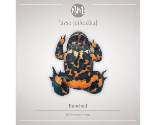 Bunched - Metamorphose