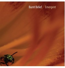 Burnt Belief - Emergent