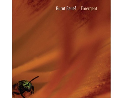 Burnt Belief - Emergent