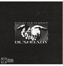 Bushbaby - What We Had EP