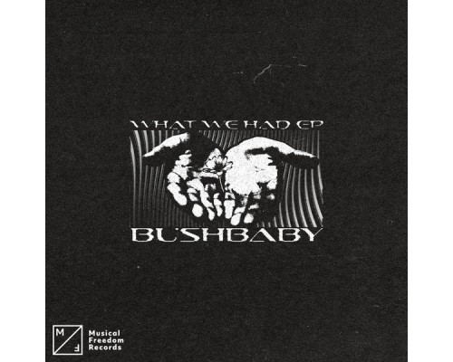 Bushbaby - What We Had EP