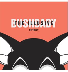 Bushbaby - The Illusive