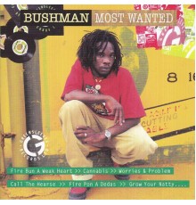 Bushman - Most Wanted