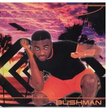 Bushman - No 1 Else