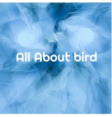 Buyue Wang - All About bird