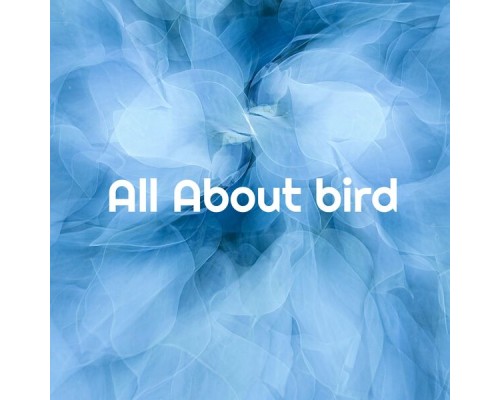 Buyue Wang - All About bird