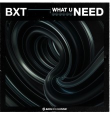 Bxt - What U Need