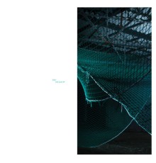 CA2+ - Gait Cycle EP