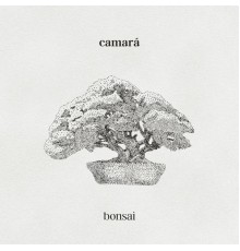 CAMARA - Bonsai