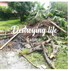 CASPER - Destroying life