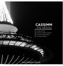 CASSIMM - The Needle