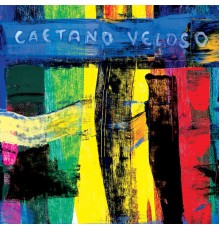 CAetano Veloso - Livro