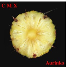 CMX - Aurinko (2012 Remaster)