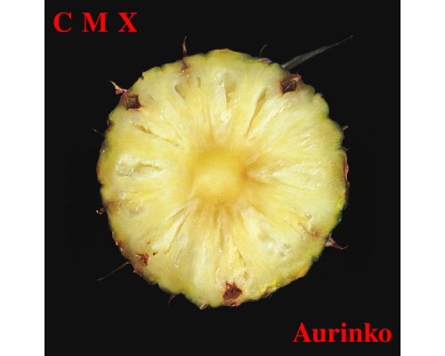 CMX - Aurinko (2012 Remaster)