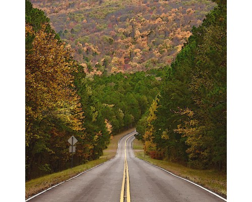 CONWAY TWITTY - Down The Road