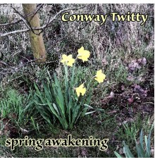 CONWAY TWITTY - Spring Awakening