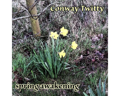 CONWAY TWITTY - Spring Awakening