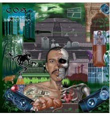 C.O.S. - Organic Brainstorm