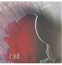 Cad - A Waste Of Fuel