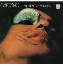 Caetano Veloso - Muitos Carnavais