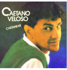 Caetano Veloso - Caetanear