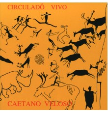 Caetano Veloso - Circulado Vivo