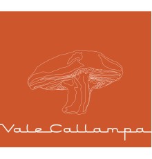 Café Tacvba - Vale Callampa