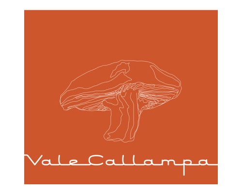 Café Tacvba - Vale Callampa