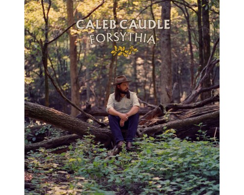 Caleb Caudle - Forsythia Caleb Caudle - Forsythia