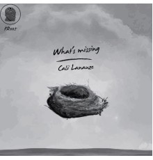 Cali Lanauze - What's Missing (Original Mix)