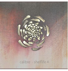 Calibre - Shelflife 4 (Original Mix)