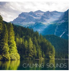 Calm - Calming Sounds