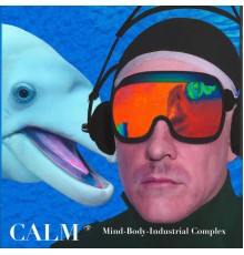 Calm - Mind-Body-Industrial Complex