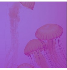 Calm Guitar Music Classics - Backdrop for Self Care