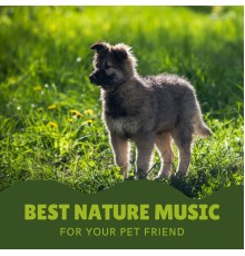 Calm Pets Music Academy and Pet Music Academy - Best Nature Music for Your Pet Friend (Various Nature Sounds to Soothe Pet Separation Anxiety)