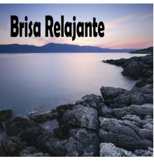 Calmar la Ansiedad - Brisa Relajante