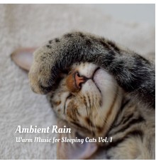 Calming Cat Music, Rain Sound Experience, Music For Cats - Ambient Rain: Warm Music for Sleeping Cats Vol. 1