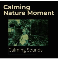 Calming Sounds - Calming Nature Moment