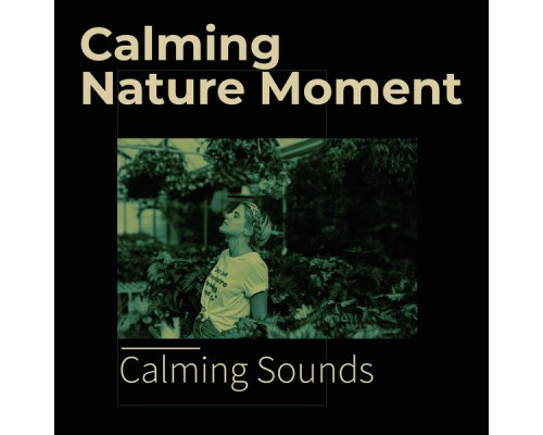 Calming Sounds - Calming Nature Moment