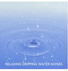 Calming Waters Consort, Lovely Nature Music Zone - Relaxing Dripping Water Noises