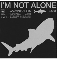 Calvin Harris - I'm Not Alone 2019