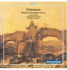 Camerata Köln - La Stagione Frankfurt - Michael Schneider - Telemann: Wind Concertos, Vol. 6 (Camerata Köln - La Stagione Frankfurt - Michael Schneider)