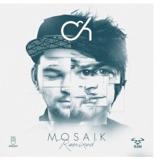 Camo & Krooked - MOSAIK REMIXED (Remixes)