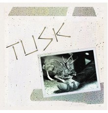 Camper Van Beethoven - Tusk